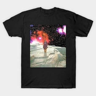 Ice Paradise T-Shirt